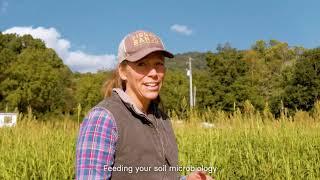 Climate-resilient farming has financial benefits for North Carolina farms