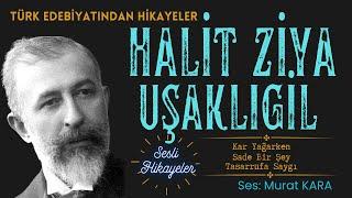 "Kar Yağarken, Sade Bir Şey, Tasarrufa Saygı" Halit Ziya Uşaklıgil Hikayeleri - Sesli Kitaplar