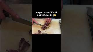 Expert Foodie Reveals KATSUO Secrets in Kochi!