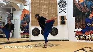 Pencak Silat Jurus