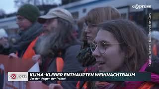 Vor den Augen der Polizei: Klima-Kleber enthaupten Weihnachtbaum