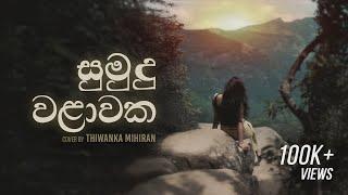 Sumudu Walawaka | සුමුදු වළාවක - Cover by Thiwanka Mihiran