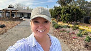 Planting Calylophus and Orchard Garden Maintenance! 