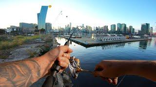 Fishing Melbourne's Urban City for GIANT Fish in CBD