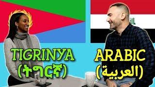 Similarities Between Tigrinya and Arabic