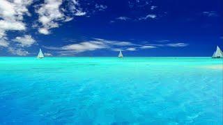 Relaxing Music for Stress Relief. Soothing Music for Meditation, Healing Therapy, Sleep, Spa