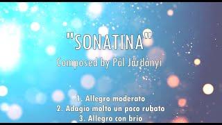 Pál Járdányi: "Sonatina" for flute and piano (Pan flute version Stefan Stanciu)