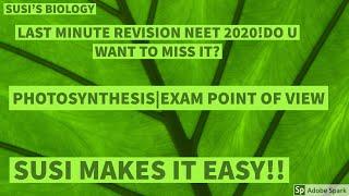 How to revise efffectively in last minutes for NEET Biology 2020|PHOTOSYNTHESIS| Exam point of view