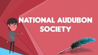 What is National Audubon Society?, Explain National Audubon Society, Define National Audubon Society