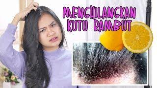 Dijamin Kutu Rambut Hilang! Ini Cara Menghilangkan Kutu Rambut Dengan Alami