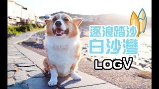 柯基犬肥油 X 逐浪踏沙白沙灣 VLOG