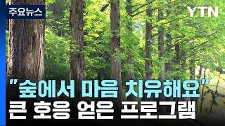 "암 환자에게 숲은 생명입니다"...산림 치유프로그램 인기 / YTN