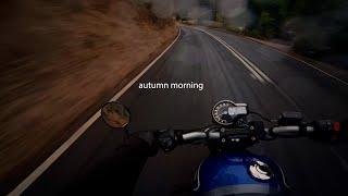 Triumph Speed 400 ASMR POV Ride | Ambient & LoFi music | Autumn Morning