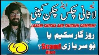 lasani chicks and chicken company || Poultry Farming best and profitable business idea in Pakistan