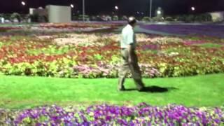 Flower show in Dubai,