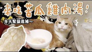 【黃阿瑪的後宮生活】來吃苦瓜雞肉湯！冬天幫貓進補～
