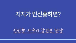 사주일반이론ㅣ지지에서 인신충 할 때 갑진년