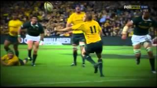 WALLABIES RUGBY TRIBUTE