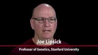 Stanford Faculty - Meet Joe Lipsick