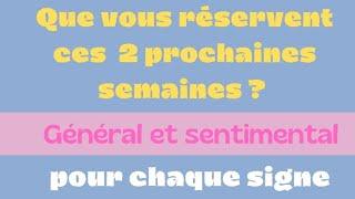  messages pour ces 2 prochaines semaines, pour chaque signe 