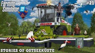 MOWING GRASS WITH CLAAS JAGUAR 695 SL HARVESTER!  | Ostseeküste | FS22 | Timelapse #21