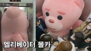 (Punk'd) Got on an elevator and exceeded capacity at Lotte Home Shopping