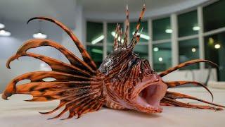 Fillet Lionfish like a Professional