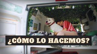  6 TIPS para viajar con perro en FURGONETA CAMPER 