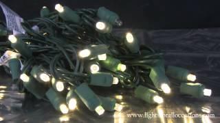 LED String Lights, 50 Wide Angle Bulbs, Twinkling