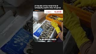 [푸디앤] 통영 산지직송 하프쉘 반각굴 총 16미내외(2팩) /초장부터 식탁보 까지 풀구성! #휴대용