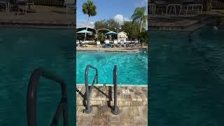 Jumping in the pool on a hot day 