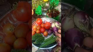 Aruvadai  @vidzmaadithottam603 #madithottam #favourite #vegitables #fruits #keerai #shorts