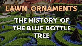 The History of the Blue Bottle Tree