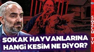 'Hayvanseverlerin Gücü Yetmez' İsmail Saymaz'dan AKP'nin Sokak Hayvanları Teklifine Olay Yorum