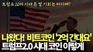 트럼프2.0의 시대 코인도 메가불장이 온다?