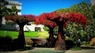 The Getty Center in full HD