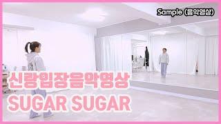 [ 신랑입장음악영상 ] SUGAR SUGAR 쉬운 안무 BY 뮤블리즈 뮤지컬웨딩 #신랑댄스 #신랑댄스입장 #신랑입장곡추천