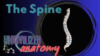 The Spine General Spinal Colom ( Part  One )