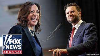 Kamala Harris eviscerated for 'egregious' false claim on JD Vance