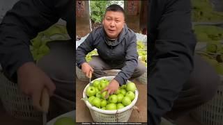  fake apple's in tamil #shorts #tamil #apple