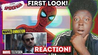 MARVEL TELEVISION 2025 - OFFICIAL TRAILER REACTION!