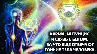 Из Хроник Акаши. Карма, интуиция и связь с Богом. Тонкие тела человека. Лаборатория Гипноза.