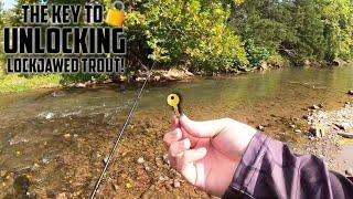 This TROUT LURE is the LOCKJAW CURE! || Uncut CAST to CATCH Footage