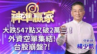 大跌547點又破2萬三!外資空單集結!台股崩盤?!｜20241113｜楊少凱 分析師｜神準贏家