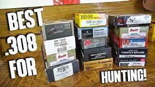 Best .308 Hunting Ammo! (Knock 'Em Down Quick!)