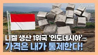 ‘니켈 보유·생산 세계 1위’ 인도네시아, 가격 통제 나서는 까닭?