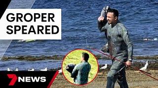 Cronulla locals furious after Gus the groper illegally speared off Oak Park Beach | 7 News Australia