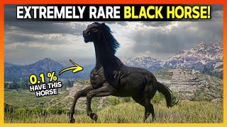 How To Get Legendary 100% BLACK Horse Locations (Extremely Rare) - RDR2 Guide