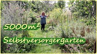 Riesen Gartenrundgang im Selbstversorgergarten