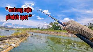 UNTUNG SAJA‼️ KALAU TIDAK PINDAH SPOT PASTI 100% BONCOS || mancing ikan nila di waduk karangkates